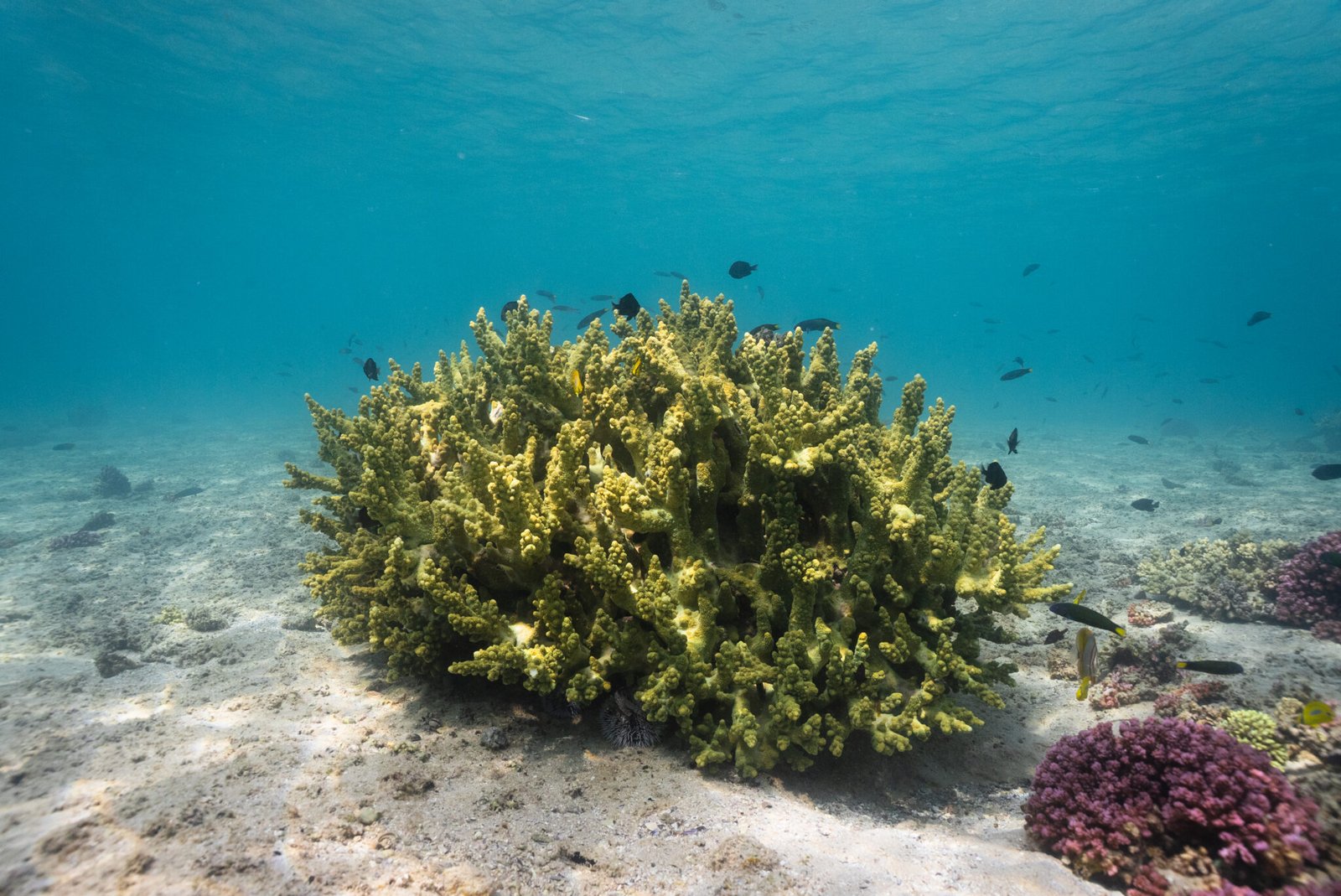 04-09-25 - Marine Safari-126