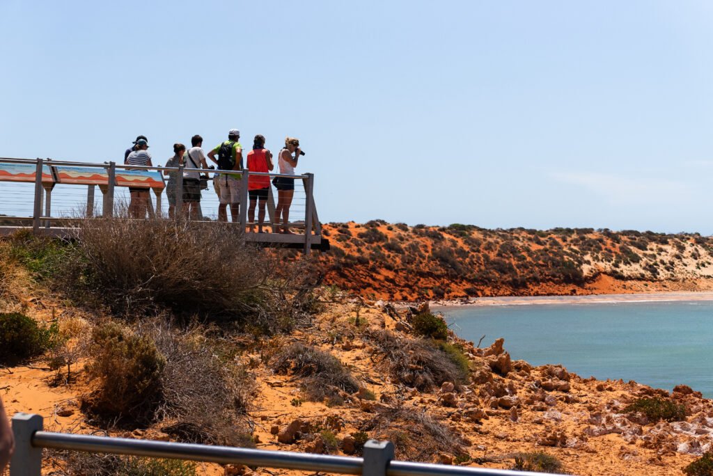 Skipjack point Lookout in Francous Peron National Park